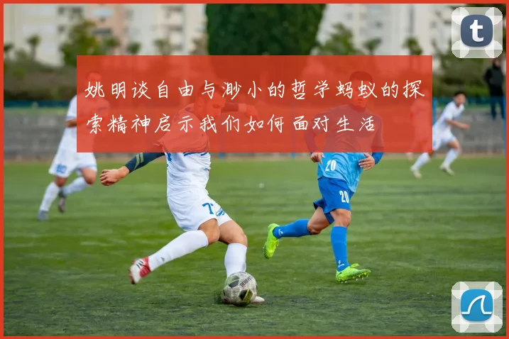 姚明谈自由与渺小的哲学蚂蚁的探索精神启示我们如何面对生活